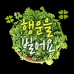 꽃으로 전하는 마음, 감사톡