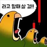 투자 전문가, 껄무새