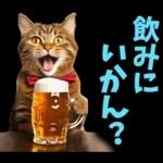 島根出雲弁☆にゃんこ