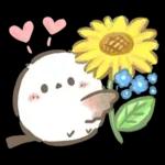 【夏】エナガさんとシマエナガさん12