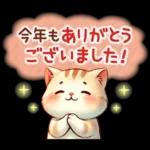 猫のつめあわせ【冬】