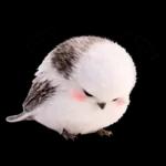 とってもかわいい♡シマエナガちゃん