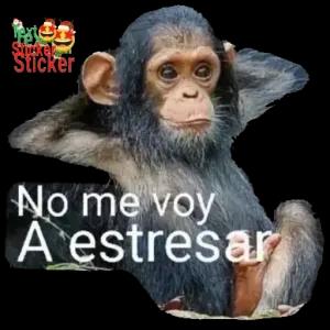 No me voy A estresar - getsticker.com