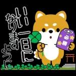 飛び出す！豆柴「野球と日常」