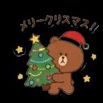 冬のくまさんほっこり便り