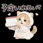 ちびニャンず♡毎日連絡スタンプ