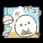 【夏】エナガさんとシマエナガさん12
