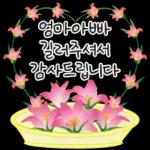 가정의 달 꽃 선물