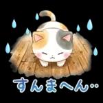 ほんわか水彩♪京都の三毛猫さん