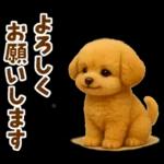 毎日使える【挨拶★返事】トイプードル