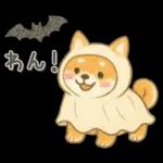 柴犬いっぱい♡豆しば♡秋＆冬