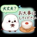 シマエナガたちの冬♪