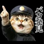 リアル猫警察官