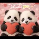 飛び出す♡まいにちパンダ