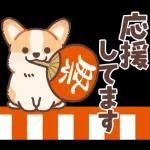 コーギーにとっての雨季と初夏