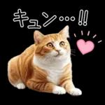 リアルな猫の敬語