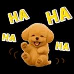 毎日使える【挨拶★返事】トイプードル