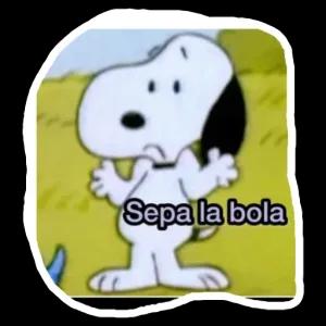 XgjkKq