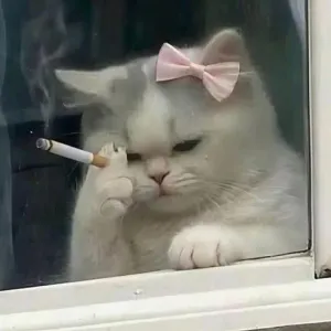 getsticker.com