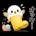 梅雨と夏のやさしい気遣い言葉♡シマエナガ