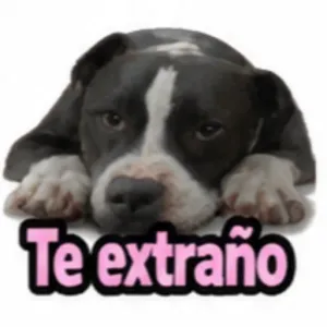 Te extraño - getsticker.com