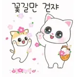 귀여운 새끼 고양이