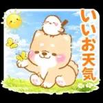 シマエナガといやしばいぬ❤️春/柴犬敬語