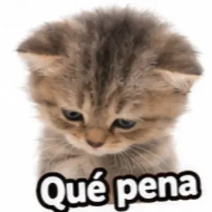 Qué pena - getsticker.com
