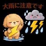 もふもふプードルの梅雨だより