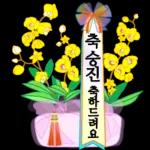 큰 이모티콘 따뜻한 마음, 꽃바구니와 함께