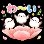 春のシマエナガ♪