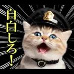 リアル猫警察官