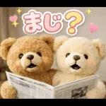 飛び出す♡くまさん