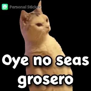 Oye no seas grosero - getsticker.com