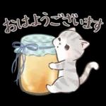 毎日使える♡大人可愛いガーリーキャット2