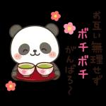 今日も笑顔で過ごせますように