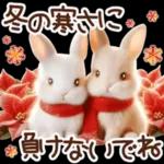 Healing Rabbit Winter