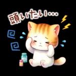 猫のつめあわせ【夏】