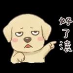 平平安安才是福🧧