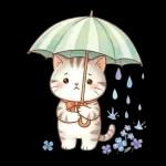 にゃんこたちの梅雨だより