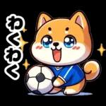 サッカー大好きな柴犬