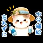 猫のつめあわせ【夏】