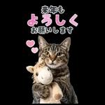 毎年使える♪リアルなにゃんこの年末年始