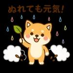 スタンプ・しば犬の梅雨だより