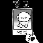 또리는 소심하지만 참지않지