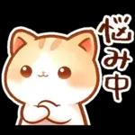 毎日♡猫ちゃんず【連絡・今何してる？】