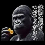 【冬】イケメンゴリラ