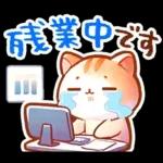 毎日♡猫ちゃんず【連絡・今何してる？】