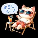 猫のつめあわせ【夏】