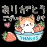 やさしい日常ことば♡ねこ